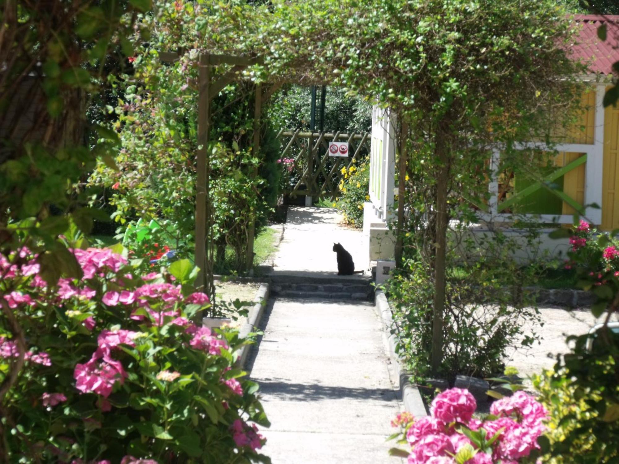 Martin-Église Le Clos Robinson מראה חיצוני תמונה